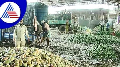 ಕೋಲಾರ ಮಾವು ಬೆಳೆಗಾರರ ಬೇಡಿಕೆಗೆ ಕ್ಯಾರೇ ಎನ್ನದ ಸರಕಾರ!