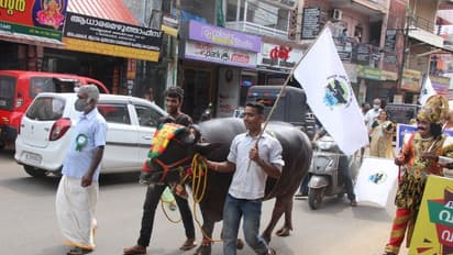 കാലിത്തീറ്റ വില വര്‍ദ്ധനയ്ക്കെതിരെ 'പോത്തുമായി കാലന്‍'; പാല്‍ വില കൂട്ടണമെന്ന് ക്ഷീര കർഷകർ
