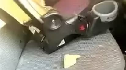 രാത്രിയിൽ കാർ പൊളിച്ച് അകത്ത് കയറി കരടിയുടെ പരാക്രമം