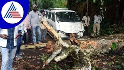 Chikkamagaluru ಕಾರಿಗೆ ಅಪ್ಪಳಿಸಿದ ವಿದ್ಯುತ್ ಕಂಬ, ಕೂದಳೆಲೆ ಅಂತರದಲ್ಲಿ  ಪ್ರಯಾಣಿಕರು ಪಾರು