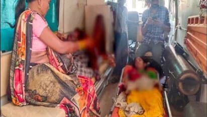 लकड़बग्घे के हमले में तीन लोग हुए घायल, आक्रोशित लोगों ने जंगली जीव को पीटकर उतारा मौत के घाट