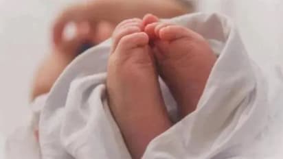 झारखंड के सरकारी अस्पताल से आई शर्मनाक खबर: चूहों ने नवजात के अंगों को कुतरा, बच्चे को देख मां के उड़े होश