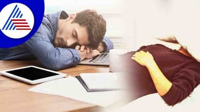 ಆಫೀಸಿಗೆ ಬಂದು ತೂಕಡಿಸಬೇಕಿಲ್ಲ, ಗಡದ್ದಾಗಿ ನಿದ್ದೆ ಮಾಡ್ಬೋದು !