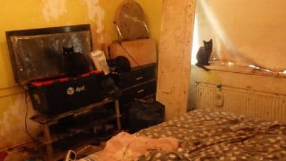 കൊടുംക്രൂരത; ഒരു വീട്ടിൽ അവശനിലയിൽ കണ്ടെത്തിയത് 37 ജീവികളെ, വീട്ടുകാരന് മൃ​ഗങ്ങളെ വളർത്തുന്നതിൽ വിലക്ക്