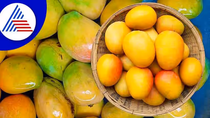 Health Tips : ಮಾವು ತಿನ್ನುವ ಮೊದಲು 30 ನಿಮಿಷ ನೀರಿನಲ್ಲಿ ನೆನೆಸಿಟ್ಟು ನೋಡಿ