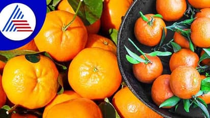 ಕಿತ್ತಳೆ ಹಣ್ಣು ಅತಿಯಾದ್ರೆ ಕಾಡಲಿದೆ ಸಮಸ್ಯೆ