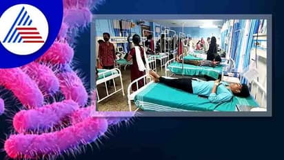 ಚಿಕನ್ ಶವರ್ಮಾ ತಿಂದು ಕಾಸರಗೋಡಿನ ಯುವತಿ ಸಾವು;  ಶಿಗೆಲ್ಲಾ ಬ್ಯಾಕ್ಟಿರೀಯಾ ಬಗ್ಗೆ ನೀವು ತಿಳಿದುಕೊಳ್ಳಬೇಕಾದ್ದಿಷ್ಟು