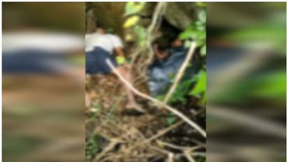 ഏലത്തോട്ടത്തിൽ ദമ്പതിമാർ മരിച്ച നിലയിൽ