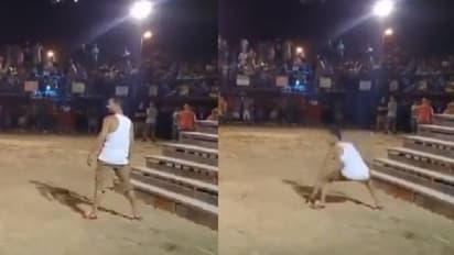 'കത്തുന്ന' കൊമ്പുമായി കാള, മനുഷ്യനെ വലിച്ചെറിഞ്ഞു, വൈറലായി വീഡിയോ