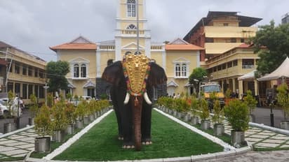 ഡമ്മിയാനയെ ഇറക്കി പൂര വിളംബരം; വീണുകിട്ടിയ വടി ആയുധമാക്കി പ്രതിപക്ഷം, തൃശൂർക്കാരെ അപമാനിച്ചെന്ന് ആക്ഷേപം