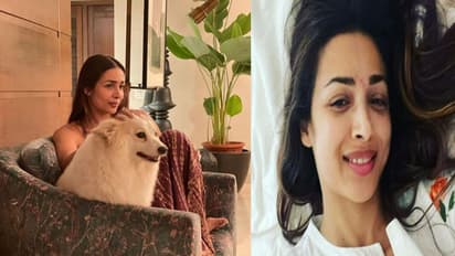 एक्सीडेंट के वक्त मलाइका अरोड़ा को इन दो खास लोगों की आ रही थी याद, एक्ट्रेस ने सुनाई उस काली रात की कहानी