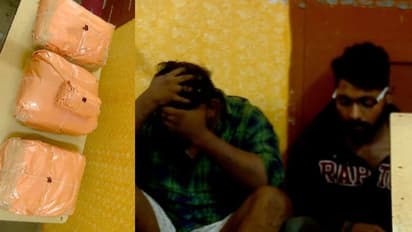 റെയില്‍വേ സ്റ്റഷനില്‍ 20 കിലോ കഞ്ചാവുമായി യുവാക്കള്‍; ഓടിച്ചിട്ട് പിടികൂടി ആര്‍പിഎഫ്