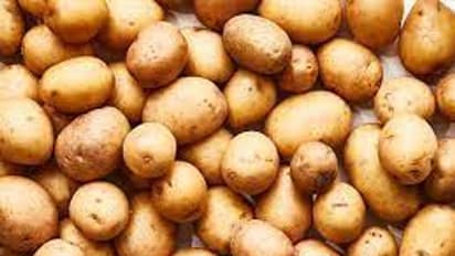 Kitchen Hacks: ಮಳೆಗಾಲದಲ್ಲಿ ಆಲೂಗಡ್ಡೆ ಮೊಳಕೆಯೊಡೆಯದಂತೆ ಹೀಗೆ ತಡೆಯಿರಿ 