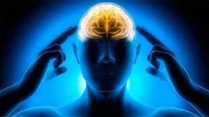 এই খাদ্যগুলি মস্তিষ্কের জন্য খুবই অস্বাস্থ্যকর, যা দুর্বল করে দিতে পারে মস্তিষ্ককে