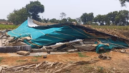 ಗಾಳಿ ಮಳೆಗೆ ನೆಲಕಚ್ಚಿದ ರೇಷ್ಮೆ ಶೆಡ್, ಪವಾಡ ರೀತಿಯಲ್ಲಿ ಪಾರಾದ ತಾಯಿ-ಮಗ