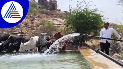 ಯಾದಗಿರಿಯಲ್ಲೊಬ್ಬ ಗೋ ಪ್ರೇಮಿ: ಗೋವುಗಳ ನೀರಿನ ದಾಹ ತಣಿಸುತ್ತಿರುವ ಗಫರ್ ಕಾರ್ಯಕ್ಕೆ ಜನರ ಮೆಚ್ಚುಗೆ!