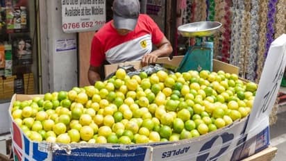 गजब हो गया: पंजाब की जेल में 'नींबू घोटाला', सस्पेंड हो गए जेलर साहब