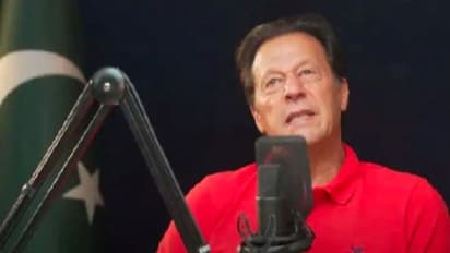 टॉक शो में इमरान खान ने खुद की तुलना गधे से की, लोग बोले- यह बड़ा हिम्मतवाला है 