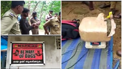 ഈരാറ്റുപേട്ടയിൽ നായ് വളർത്തൽ കേന്ദ്രത്തിന്റെ മറവിൽ കഞ്ചാവ് കച്ചവടം; ഒരാള് കസ്റ്റഡിയില്