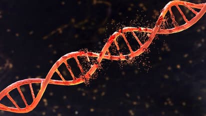 World Thalassemia Day 2022: Know history, significance, theme of the year and more