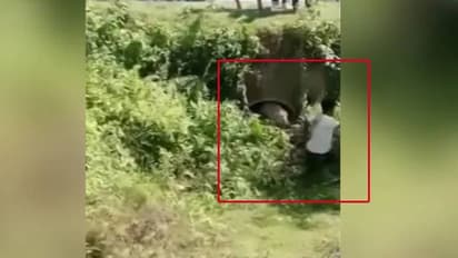 போட்டோ எடுக்க அருகில் சென்ற நபர்.. ஒரே போடு போட்ட சிறுத்தை... அப்புறம் என்ன ஆச்சு தெரியுமா?