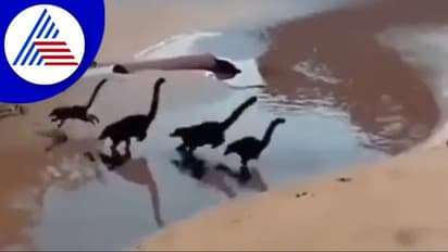 Madhya Pradesh: दिल्ली यूनिवर्सिटी के रिसर्चर्स को मिला डायनासोर का दुर्लभ अंडा