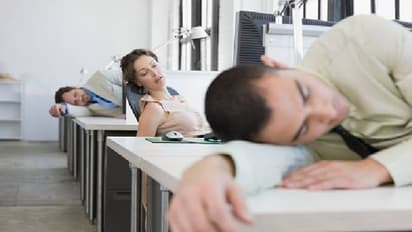 ജീവനക്കാർക്ക് ഉച്ചയുറക്കം അനുവദിച്ച് കമ്പനി, പൊളിയാണല്ലോ എന്ന് സോഷ്യൽ മീഡിയ