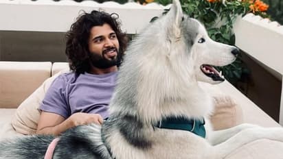 ಬಾಡಿಗೆ ಕಟ್ಟಲು  ಪರದಾಡುತ್ತಿದ್ದ Vijay Devarakonda  ಇಂದು ಕೋಟಿಗಟ್ಟಲೆ ಆಸ್ತಿಯ ಮಾಲೀಕ 