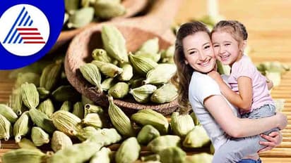 Kids Health : ಮಕ್ಕಳಿಗೆ ಹೀಗೆ ನೀಡಿ ಏಲಕ್ಕಿ