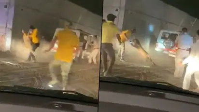 Leopard attacks forest team during rescue operation; watch