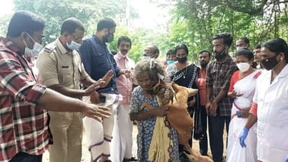 അവശനായി കിടന്ന തെരുവ് നായക്കൊപ്പം കഴിഞ്ഞ നാടോടി വൃദ്ധയ്ക്ക് സുരക്ഷിത ഇടമൊരുക്കി പഞ്ചായത്ത് പ്രസിഡന്റ്
