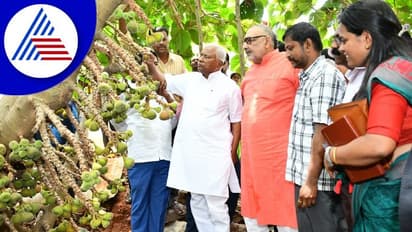 ರೈತನ ತೋಟಕ್ಕೆ ಭೇಟಿ ನೀಡಿದ ಕೇಂದ್ರ ಕೃಷಿ ಸಚಿವ ಗಿರಿರಾಜ್ ಸಿಂಗ್: ಅಂಜೂರ ಹಣ್ಣಿನ ರುಚಿ ಸವಿದ ಸಚಿವ