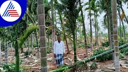 ಚಿತ್ರದುರ್ಗದಲ್ಲಿ ವರುಣನ ಆರ್ಭಟಕ್ಕೆ ಅಪಾರ ಬೆಳೆ ನಷ್ಟ: ಕಂಗಾಲಾದ ಅನ್ನದಾತ