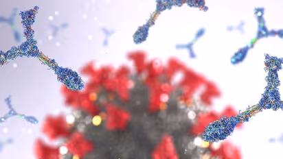 Monkeypox: Know early symptoms, how is it spread, other details