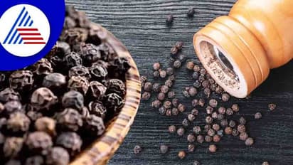 Black Pepper: கருப்பு மிளகு சாப்பிடுவதால் கிடைக்கும் அற்புத பயன்கள்..அறிவியல் பூர்வமாக நிரூபிக்கப்பட்ட உண்மை