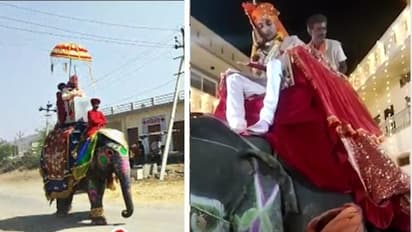 MP के गुना में दूल्हे राजा हाथी पर लेने पहुंचे दुल्हनियां, राजशाही ठाठ वाली बारात देखने उमड़ी भीड़