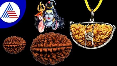 ಆದಾಯ ಹೆಚ್ಚಿಸುವ ಏಕಮುಖಿ ರುದಾಕ್ಷಿ, ಈ ರಾಶಿಗೆ ಧಾರಣೆಯ ವಿಶೇಷ ಫಲ