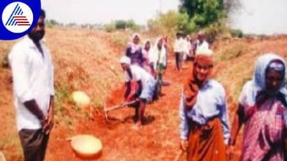 Koppal: ಕಿತ್ತು ತಿನ್ನುವ ಬಡತನ:  ಇಳಿವಯಸ್ಸಲ್ಲೂ ದುಡಿಯುತ್ತಿರುವ 70ರ ವೃದ್ಧೆ..!