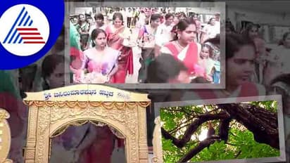 Mandya ಊರ ಜಾತ್ರೆಯಲ್ಲಿ ಬಲಿ ತಪ್ಪಿಸಲು ಮರವೇರಿ ಕುಳಿತ ಹರಕೆ ಹುಂಜ!