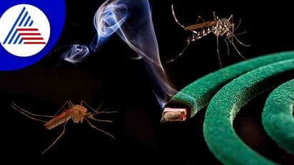 ಮಸ್ಕಿಟೋ ಕಾಯಿಲ್ ಹೊಗೆ ಸೊಳ್ಳೆ ಮಾತ್ರವಲ್ಲ, ಮನುಷ್ಯನ ಜೀವವನ್ನೂ ತೆಗೀಬೋದು !