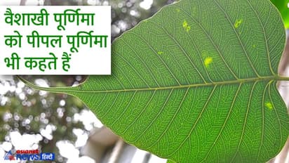 Vaisakhi Purnima 2022: 16 मई को करें पीपल के ये अचूक उपाय, दूर होगा दुर्भाग्य और बनेंगे धन लाभ के योग