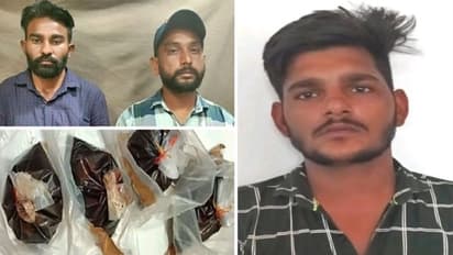 कभी सुना है 5 लाख रुपए किलो दूध, राजस्थान पुलिस ने पकड़ा है ऐसा स्पेशल मिल्क जो उड़ा देगा सबके होश