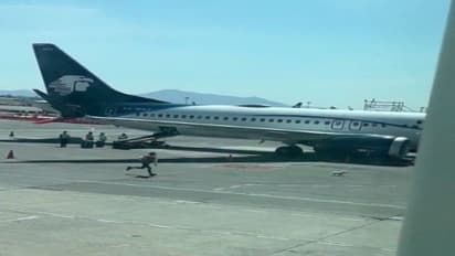 प्लेन के उड़ने से ठीक पहले वहां आ गया कुत्ता, इसके बाद एयरपोर्ट पर हुआ गजब तमाशा, वीडियो हुआ वायरल