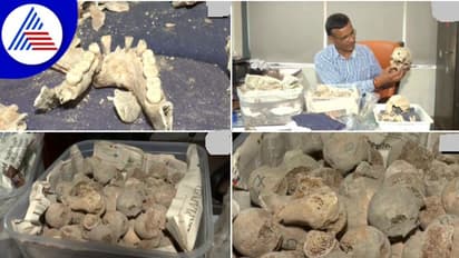 ಮೊದಲ ಸ್ವಾತಂತ್ರ್ಯ ಸಂಗ್ರಾಮದಲ್ಲಿ ಹೋರಾಡಿದ 282 ಭಾರತೀಯ ಸೈನಿಕರ ಅಸ್ಥಿಪಂಜರ ಪತ್ತೆ!