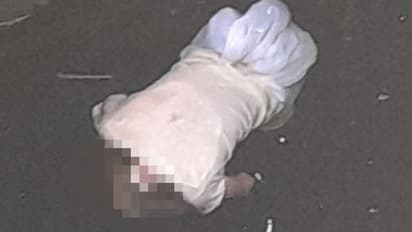 चित्तौड़गढ़ में खौफनाक वारदात: बुजुर्ग को सब्जी की तरह काट डाला, धड़ पानी में फेंका, खोपड़ी साथ ले गए हत्यारे