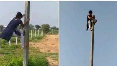 முதல்முறையாக பெண் லைன் மேன் நியமனம்... ! போராடி சாதித்து காட்டிய இளம்பெண்...!