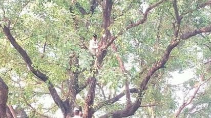 घर के बाहर कूड़ा डालने से मना करने पर दबंगों ने युवक को बेरहमी से पीटा, तहसील कार्यालय में जाकर उठाया बड़ा कदम