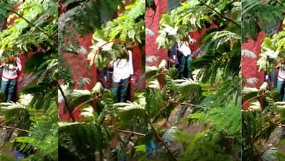 சென்னையில் கல்லூரி உள்ளே கஞ்சா புகைத்த மாணவர்கள்.. போலீசிடம் கையும் களவுமாக சிக்கிய வீடியோ..!