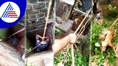 Belagavi ಆಯತಪ್ಪಿ ಬಾವಿಗೆ ಬಿದ್ದ ಬೀದಿನಾಯಿ, ಕಚ್ಚಿದರೂ ಛಲಬಿಡದೇ ರಕ್ಷಣೆ