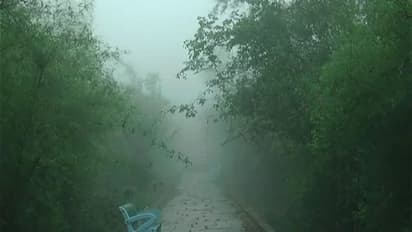 ಅಸಾನಿ ಎಫೆಕ್ಟ್, ಊಟಿಯಂತಾದ ಚಿತ್ರದುರ್ಗದ ಜೋಗಿಮಟ್ಟಿ ವನ್ಯಧಾಮ